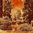 Zlat� LESOPARK
