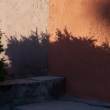 St�n dendrofl�ry �erven 2009